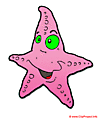 Starfish cartoon image - Holidays clip art