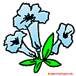 Blue flower cartoon image