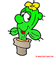 Cactus clip art image - Plant clipart free