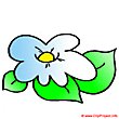 Flower cartoon clip art - Plant clip art free