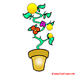 Home flower clip art - Plant clipart free