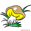 Mushroom clip art - Plant clip art free