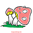 Mushrooms clipart - Plant clip art free