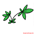 Plant clipart free