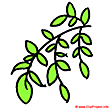 Plants image - Plant clip art free