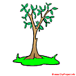 Tree clip art - Plant images free